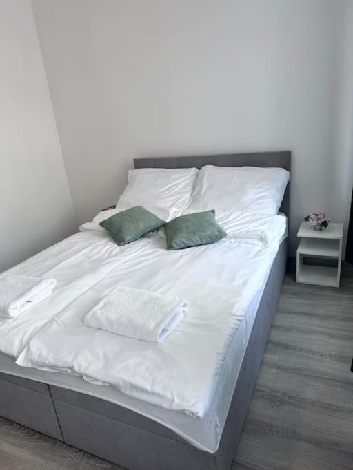 Апартаменти Przytulny Apartament Щецінек Екстер'єр фото